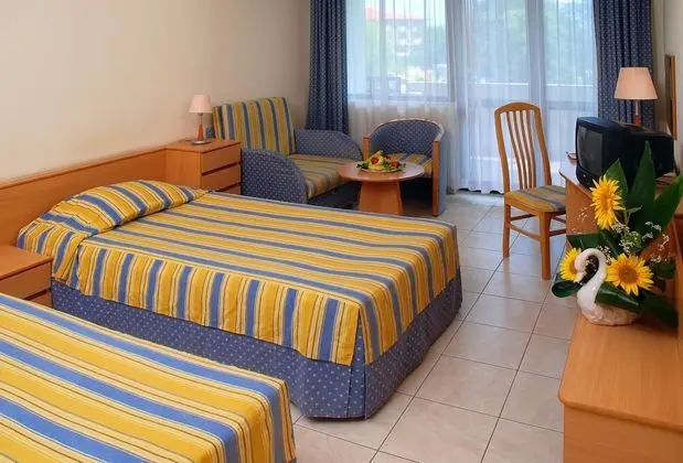 Standard İki Ayrı Yataklı Oda (single use)