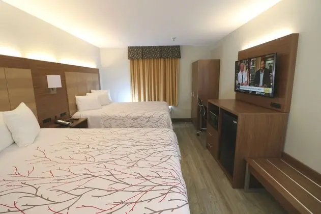 Standard Oda, 2 Büyük (Queen) Boy Yatak, Sigara İçilmez, Buzdolabı ve Mikrodalga