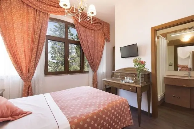 Deluxe Tek Kişilik Oda, 1 Yatak Odası, Sigara İçilmez (SPA access)