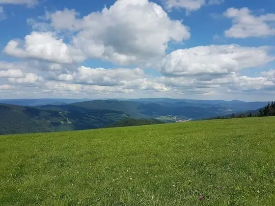 Apart Daire, Özel Banyo (Cocon au Calme )