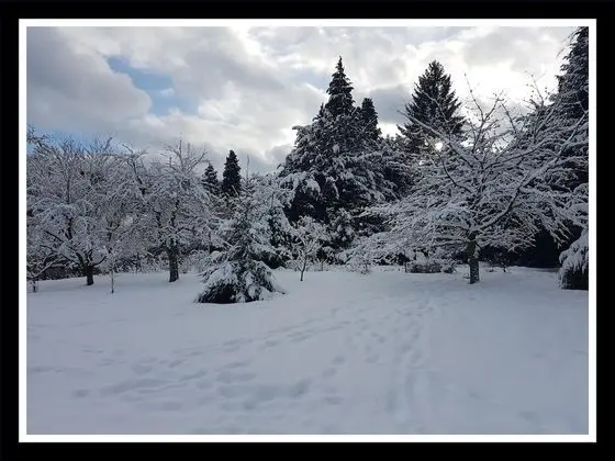 Apart Daire, Özel Banyo (Cocon au Calme )