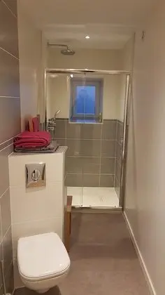 Deluxe Apart Daire, Özel Banyo (Bulle au Vert)