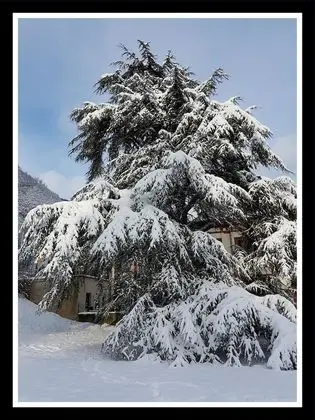 Deluxe Apart Daire, Özel Banyo (Bulle au Vert)