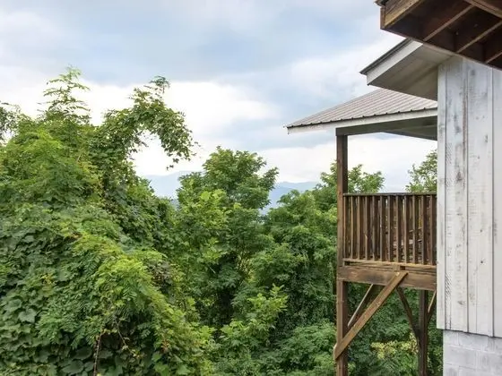 Kulübe (LeConte View 1)