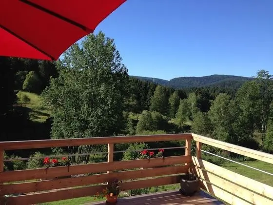 Tek Büyük Yataklı Oda, Teras