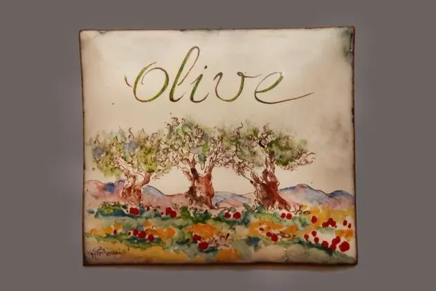 Tek Büyük Yataklı Oda (Olive)