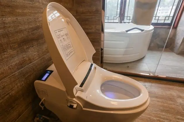 Deluxe İki Ayrı Yataklı Oda, Balkon, Göl Manzaralı