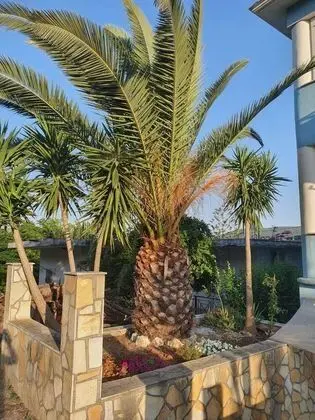 Ev, Birden Çok Yatak