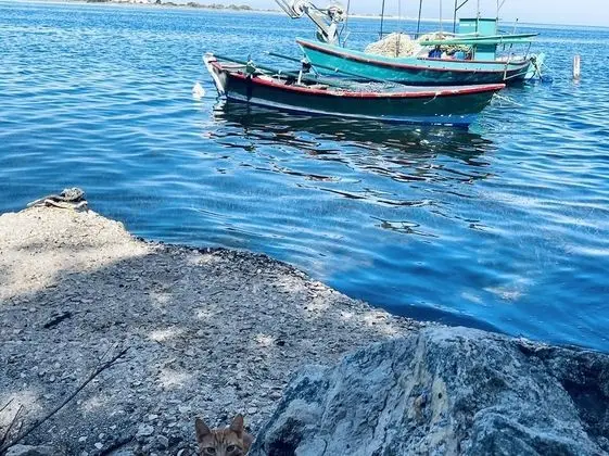 Ev, Birden Çok Yatak