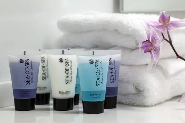 Superior Tek Büyük veya İki Ayrı Yataklı Oda, Şehir Manzaralı