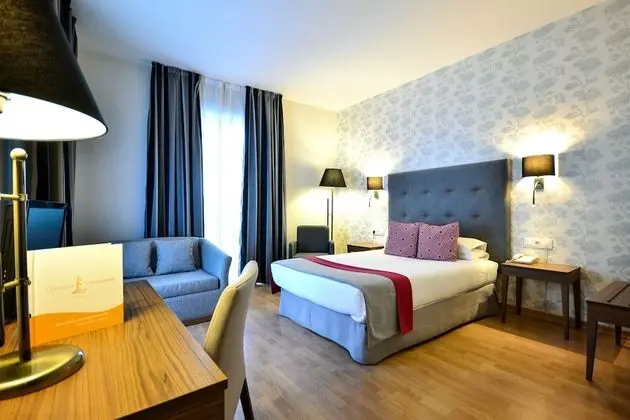 Superior Tek Büyük Yataklı Oda