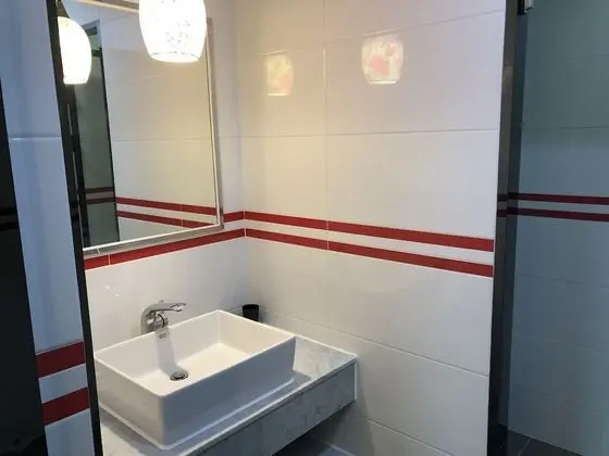 Standard Tek Büyük Yataklı Oda, Sigara İçilebilir