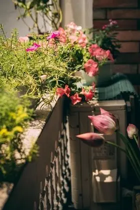 Standard İki Ayrı Yataklı Oda, Balkon