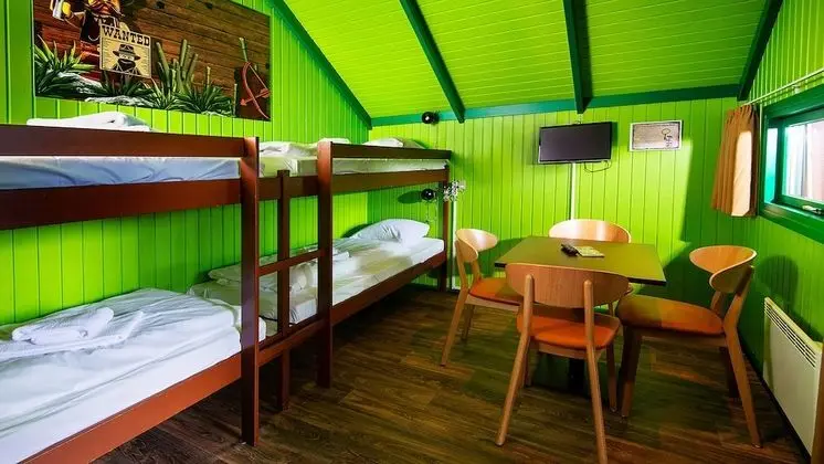 Wilderness Cabin 1 Room