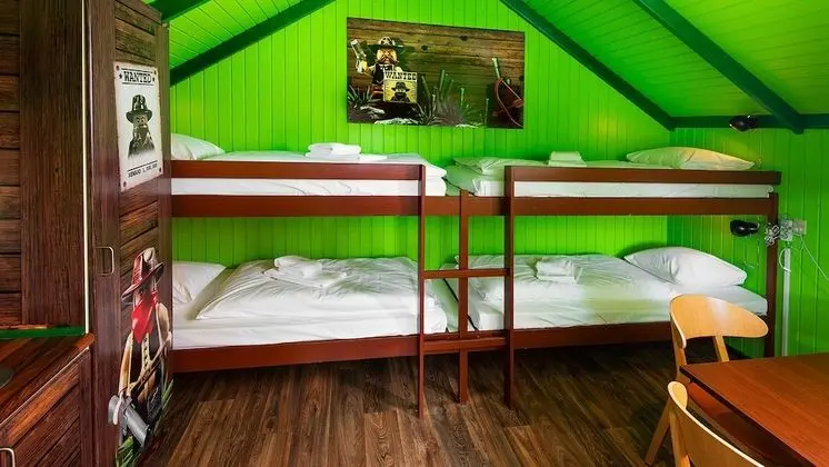 Wilderness Cabin 1 Room