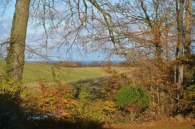 Exclusive Ev, Park Manzaralı