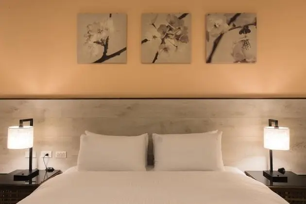Comfort Tek Büyük Yataklı Oda, Sigara İçilmez