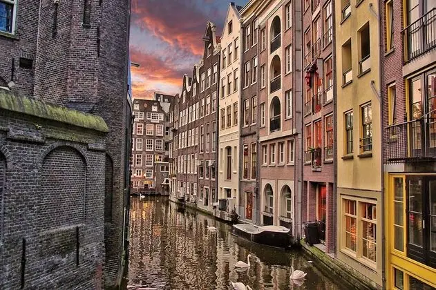Luxury Apartment