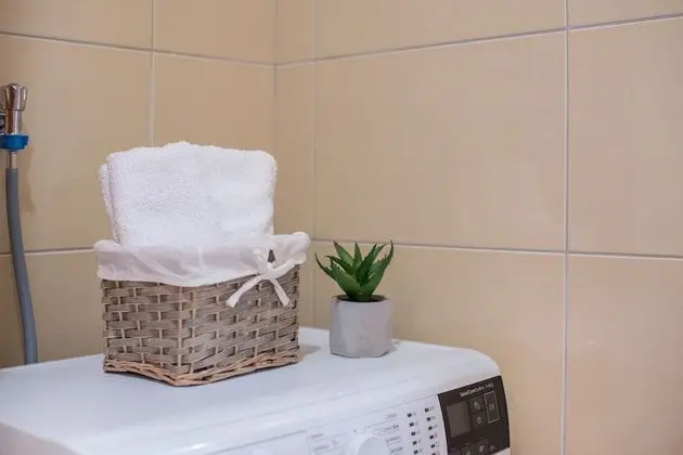 Apart Daire, 1 Yatak Odası (4 Persons)