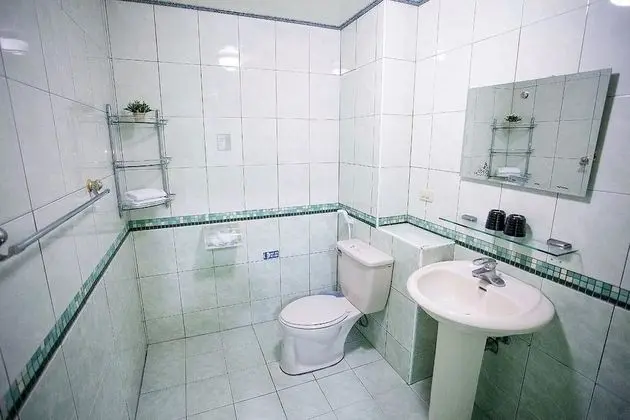 Superior Tek Büyük Yataklı Oda, 1 Çift Kişilik Yatak, Sigara İçilmez