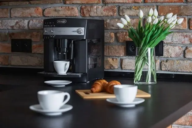 Apart Daire, 1 Yatak Odası, Teras