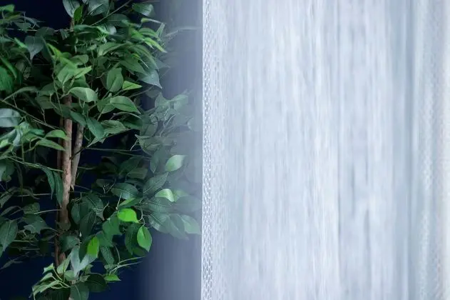 Apart Daire, 1 Yatak Odası, Teras