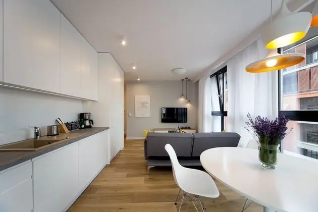 Deluxe Apart Daire, 1 Büyük (Queen) Boy Yatak ve Çekyat (Pure White)