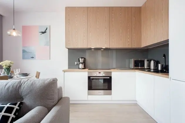 Deluxe Apart Daire, 1 Büyük (Queen) Boy Yatak ve Çekyat (Silver Grey)