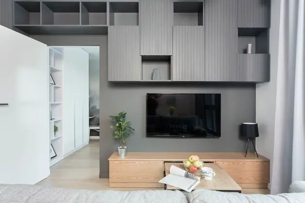 Deluxe Apart Daire, 1 Büyük (Queen) Boy Yatak ve Çekyat (Silver Grey)