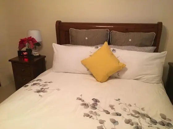Comfort Apart Daire, 1 Yatak Odası, Özel Banyo