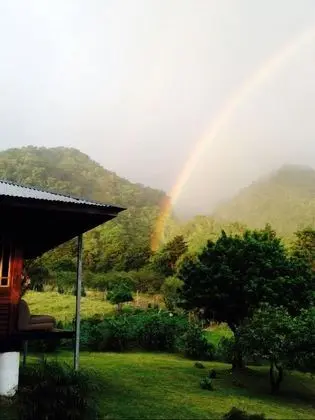 Basic Kulübe, 1 Yatak Odası