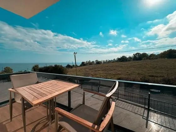 https://images.odamax.com/img/1024x768/odamax/image/upload/Lemon_Suit_202605020112516_Balkon.jpg