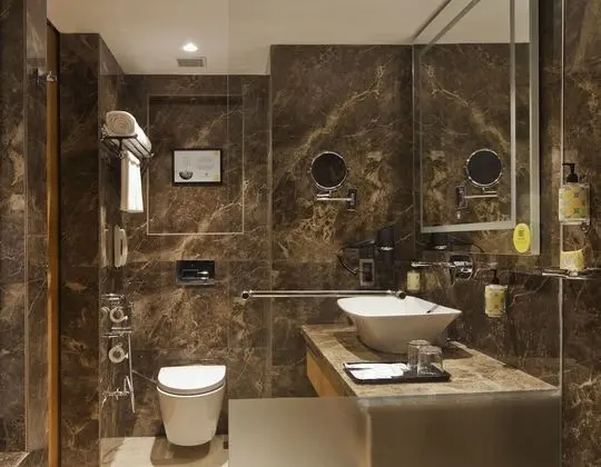 Deluxe Oda, 1 Çift Kişilik Yatak, Şehir Manzaralı