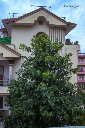 City Apart Daire, 1 Çift Kişilik Yatak, Sigara İçilmez, Şehir Manzaralı