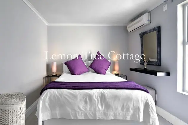 Büyük Yataklı Tek Kişilik Oda (Lemon Tree Cottage)