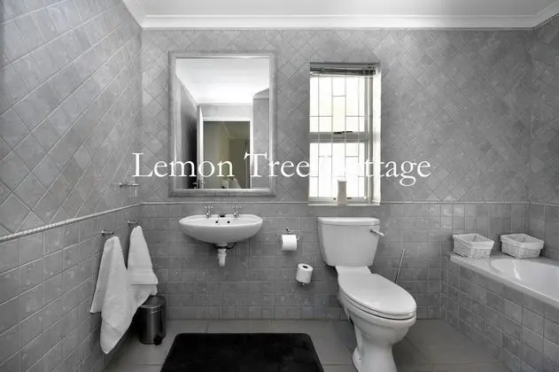 Büyük Yataklı Tek Kişilik Oda (Lemon Tree Cottage)