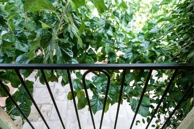 Ev, Dağ Manzaralı