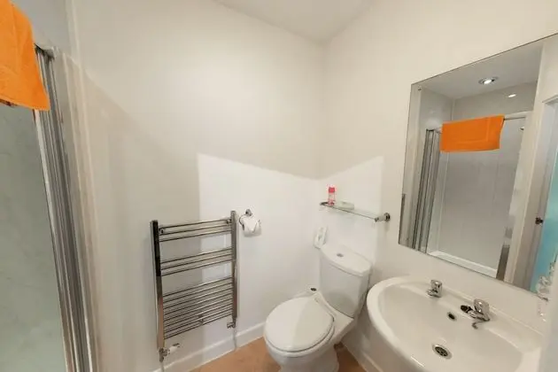 Tek Büyük Yataklı Oda, Banyolu/Duşlu (Large Room 1)