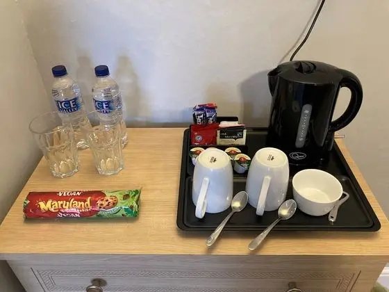 Tek Büyük Yataklı Oda, Banyolu/Duşlu (Large Room 2)