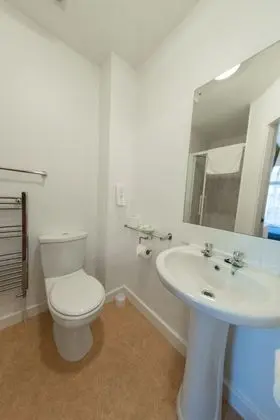Tek Büyük Yataklı Oda, Banyolu/Duşlu (Large Room 2)