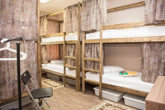Ortak Ranzalı Oda, Karma Ranzalı Oda (Bed in 4-beds dormitory)