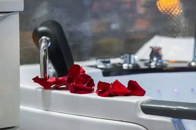 Deluxe Apart Daire, 1 Büyük (Queen) Boy Yatak ve Çekyat, Sıcak Su Küveti