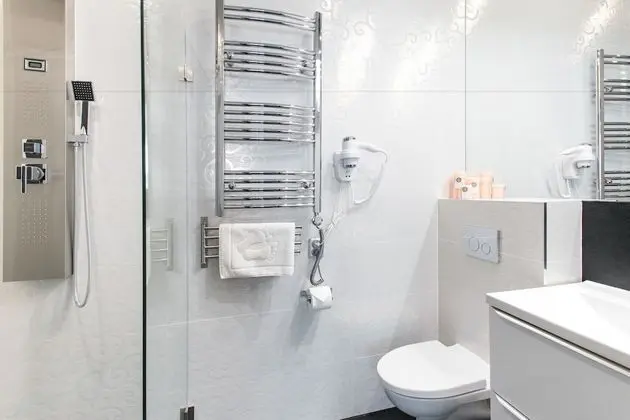 Superior Tek Büyük Yataklı Oda, 1 Çift Kişilik Yatak ve Çekyat, Özel Banyo
