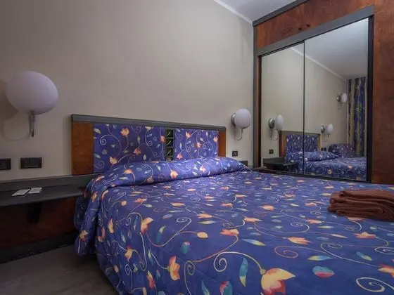 Superior Tek Büyük veya İki Ayrı Yataklı Oda