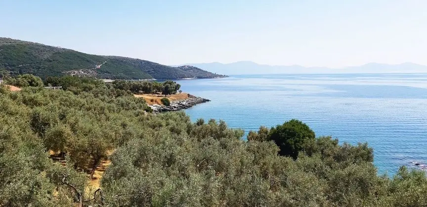 Deluxe Stüdyo, Balkon, Deniz Manzaralı (Studio 1)