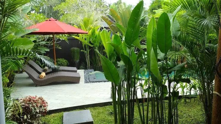 Luxury Villa, 1 Yatak Odası