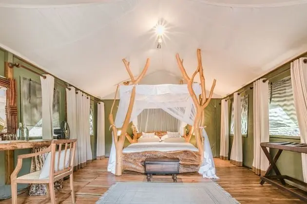 Luxury Çadır