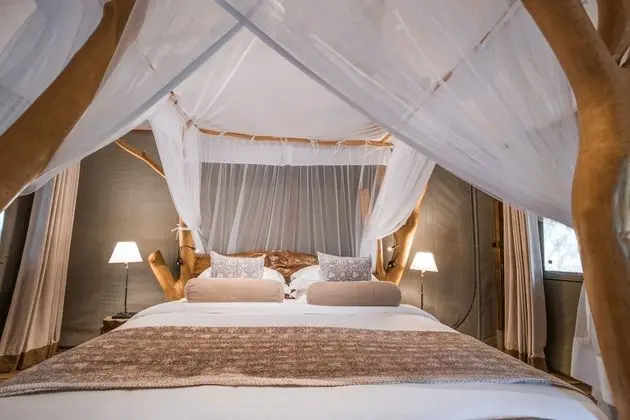 Luxury Çadır