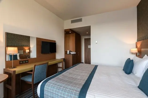 Executive Tek Büyük Yataklı Oda, 1 Yatak Odası