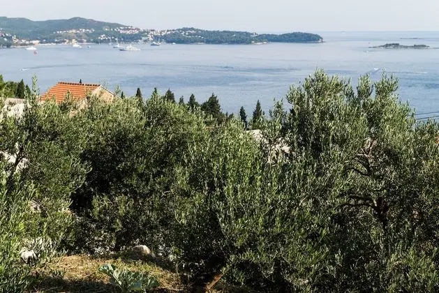 Tek Büyük Yataklı Oda (Double Room with Balcony and Sea View)